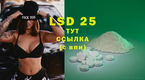 винт Алзамай